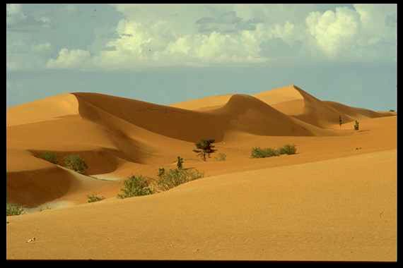 desert