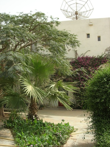 le jardin